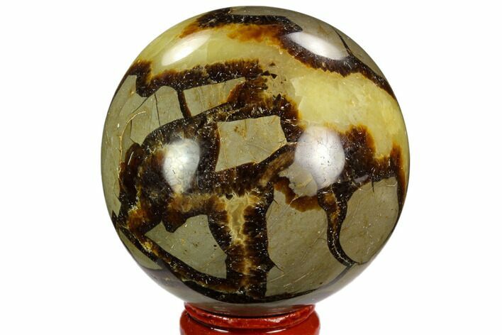 Polished Septarian Sphere - Madagascar #122911